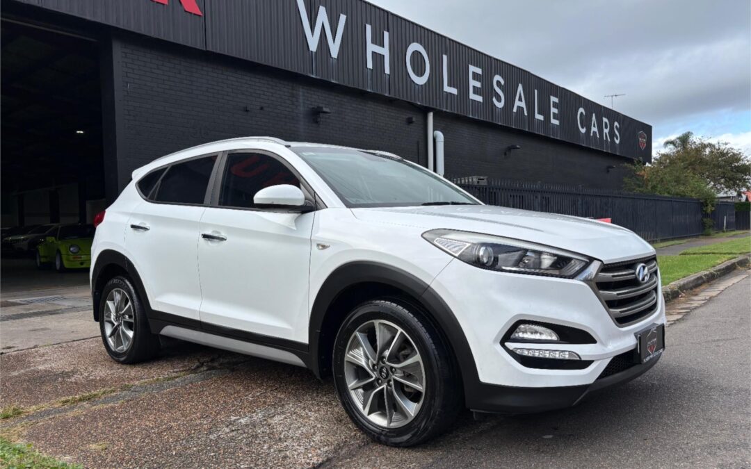 2018 Hyundai Tucson Trophy Wagon